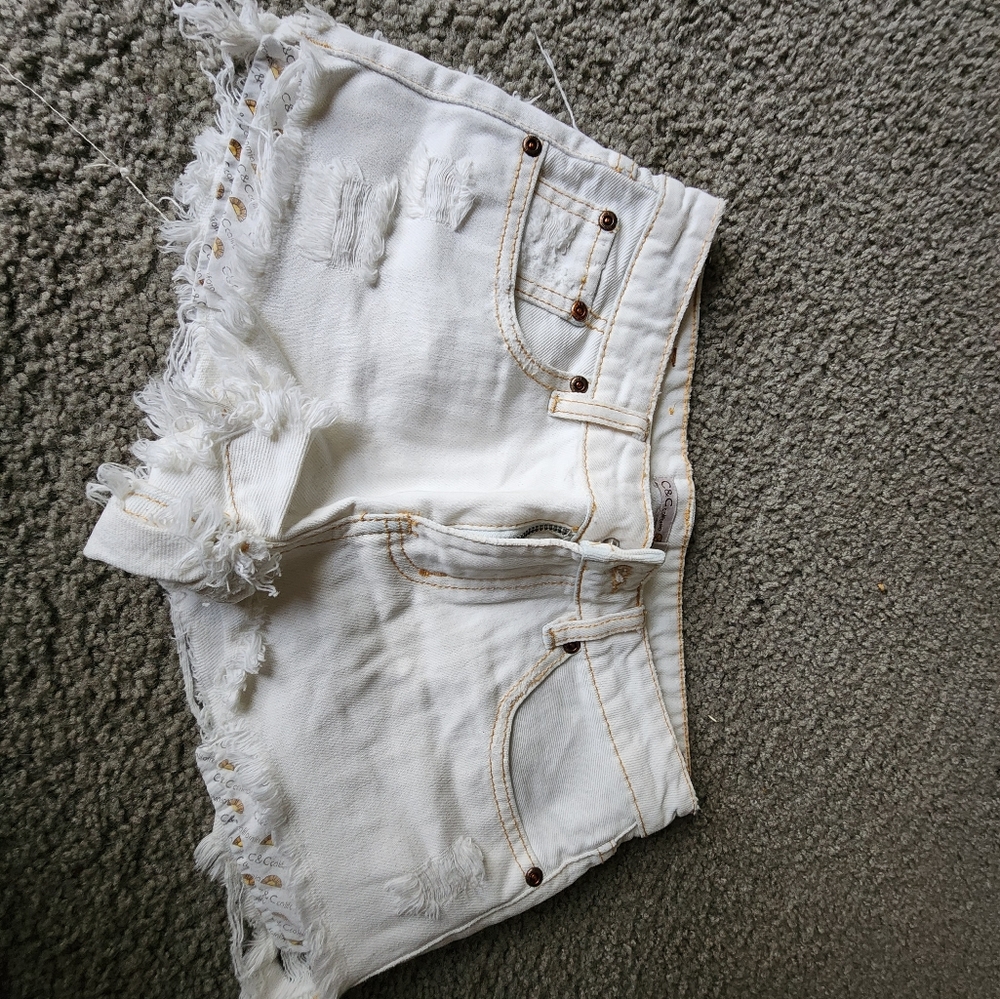 C&C California Shorts - image 1